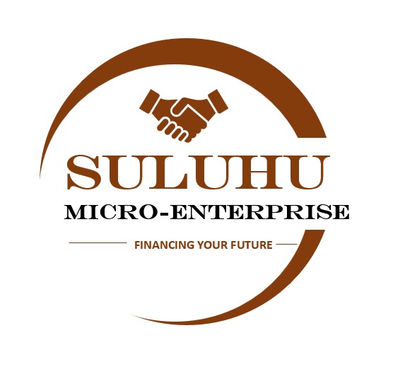 MICROFES Logo